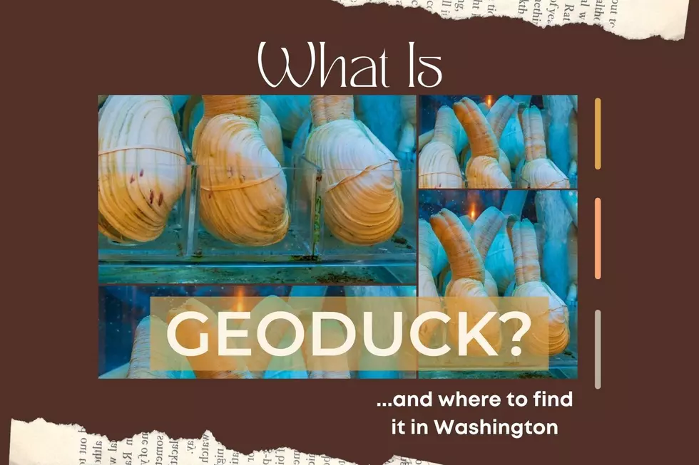 3 Places to Get Geoduck: Voted the #1 Grossest Food in WA State