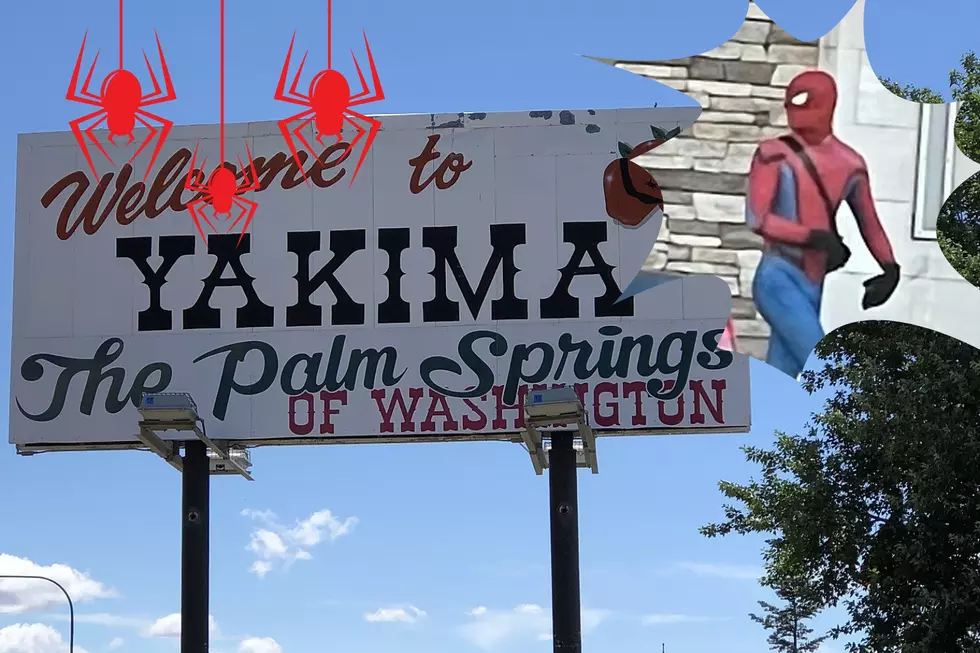 Crime that bad? Amazing Spider-Man Seems Paranoid Walking on Yakima Ave.