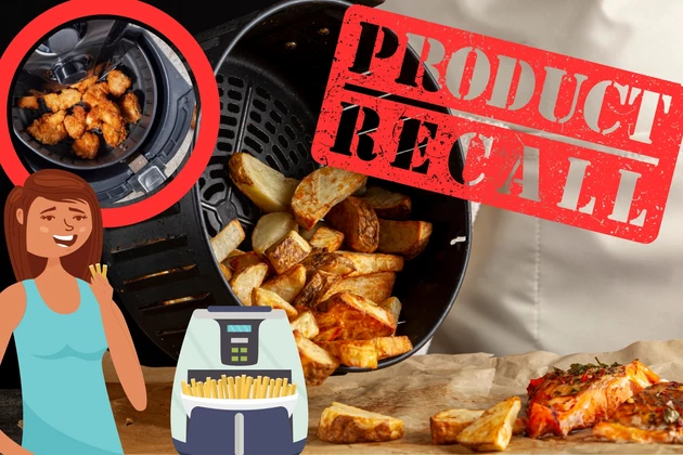 Too Hot! Air Fryer Recall, Causing Fire &#038; Burning More Than Food!
