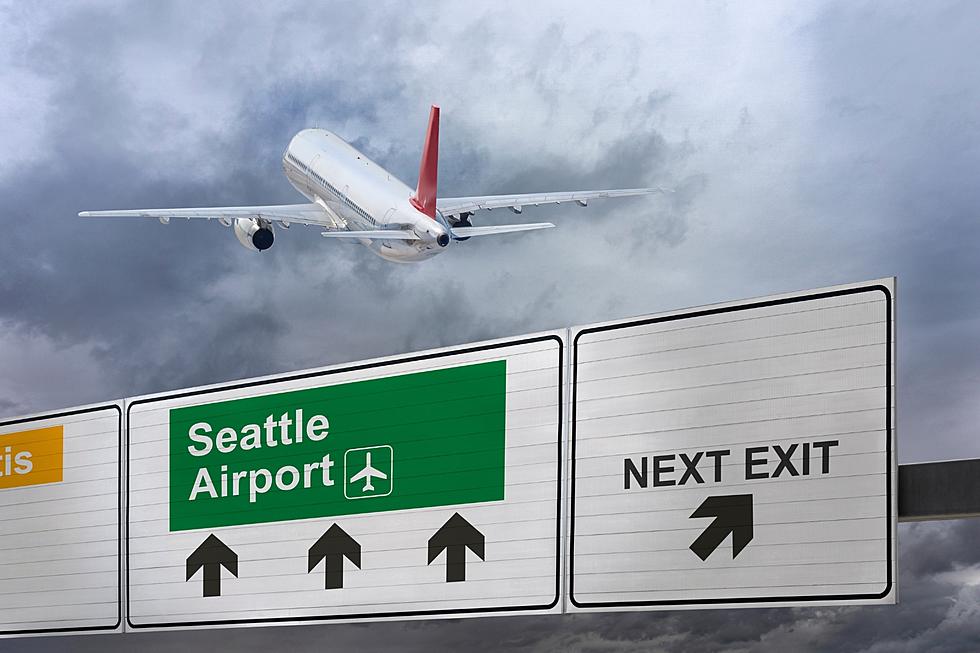 Can You Legally Bring Loaded Guns to Sea-Tac Airport?