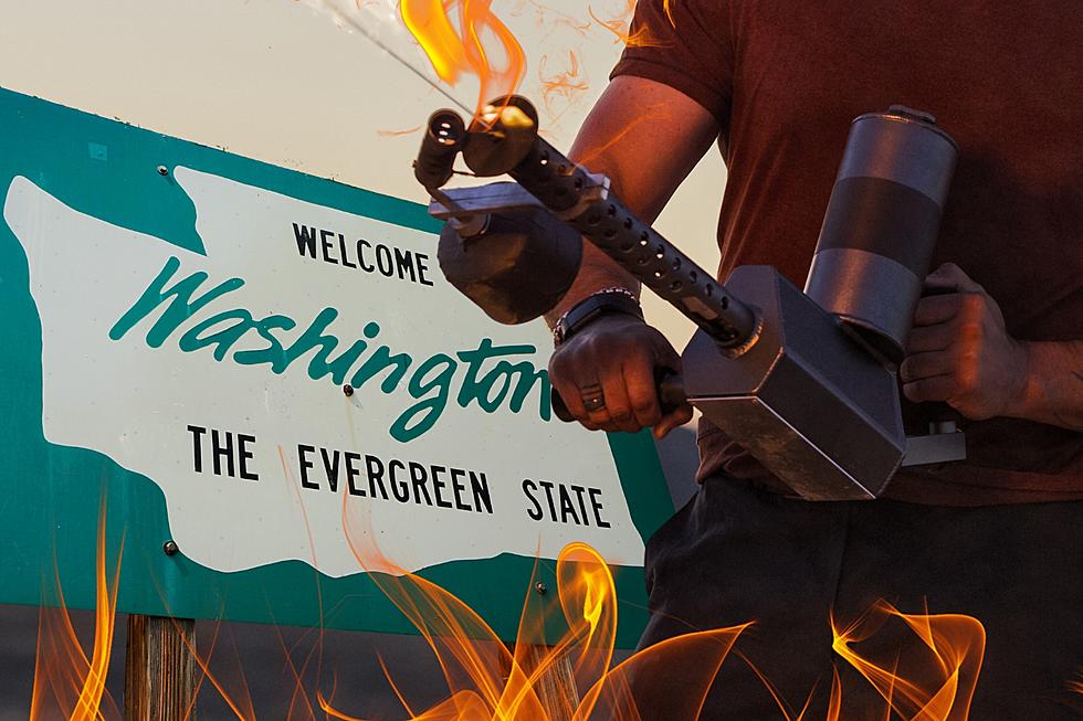 Can You Own A Flamethrower in Washington?