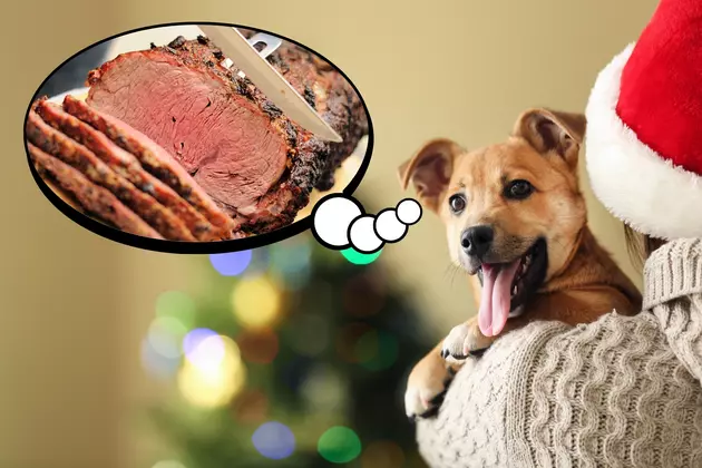 Attention WA, OR, &#038; CA! These Are The Dangerous Holiday Foods For Dogs!