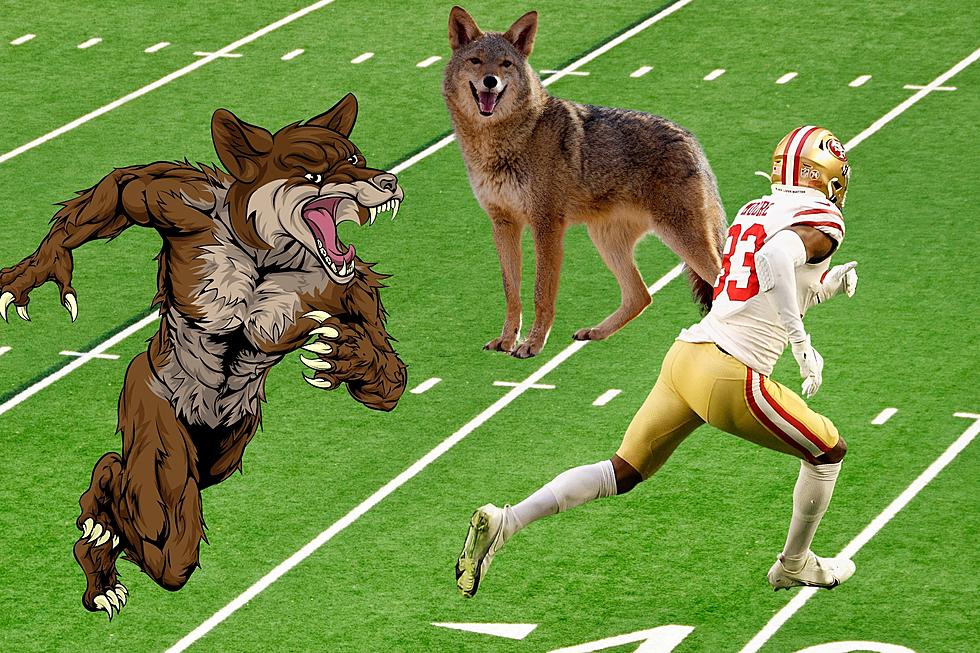 Did a Wild Coyote Really Attack a San Francisco 49ers NFL Player in Vegas?