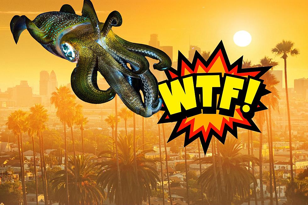 WTF!?! Alien Like ‘Sky Squid’ Filmed Over California