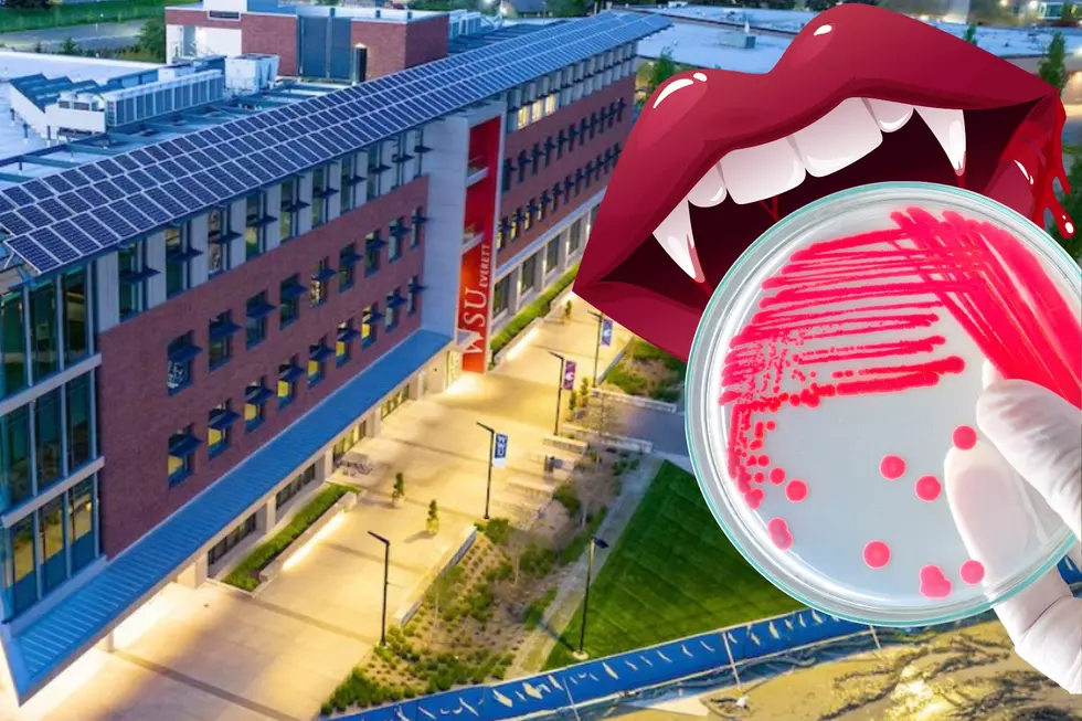 Washington State University Discovers Vampire Bacteria!