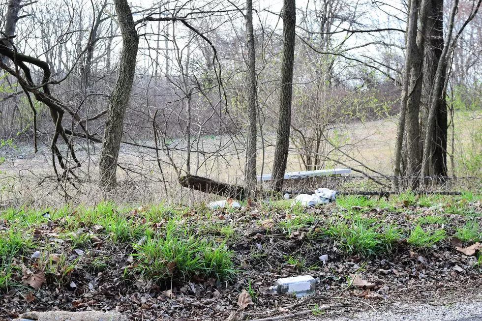 trees and grass, with garbage scattered around.