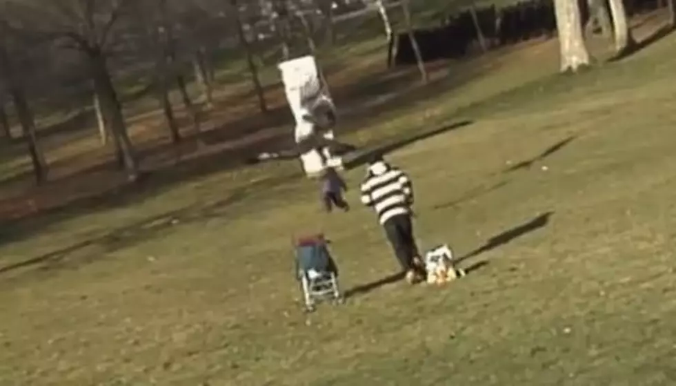 Eagle Tries To Snatch Baby From Park [VIDEO]