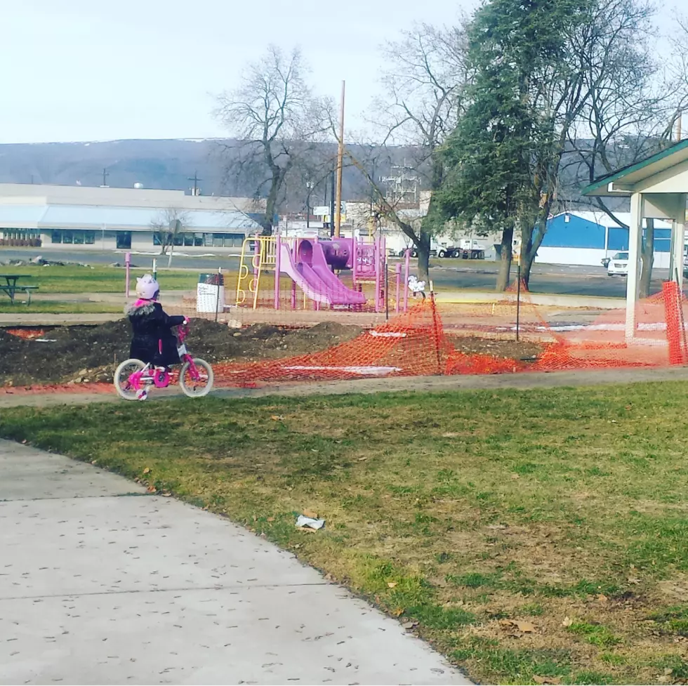 What’s Going On At Lion’s Park In Yakima? I Have So Many Questions