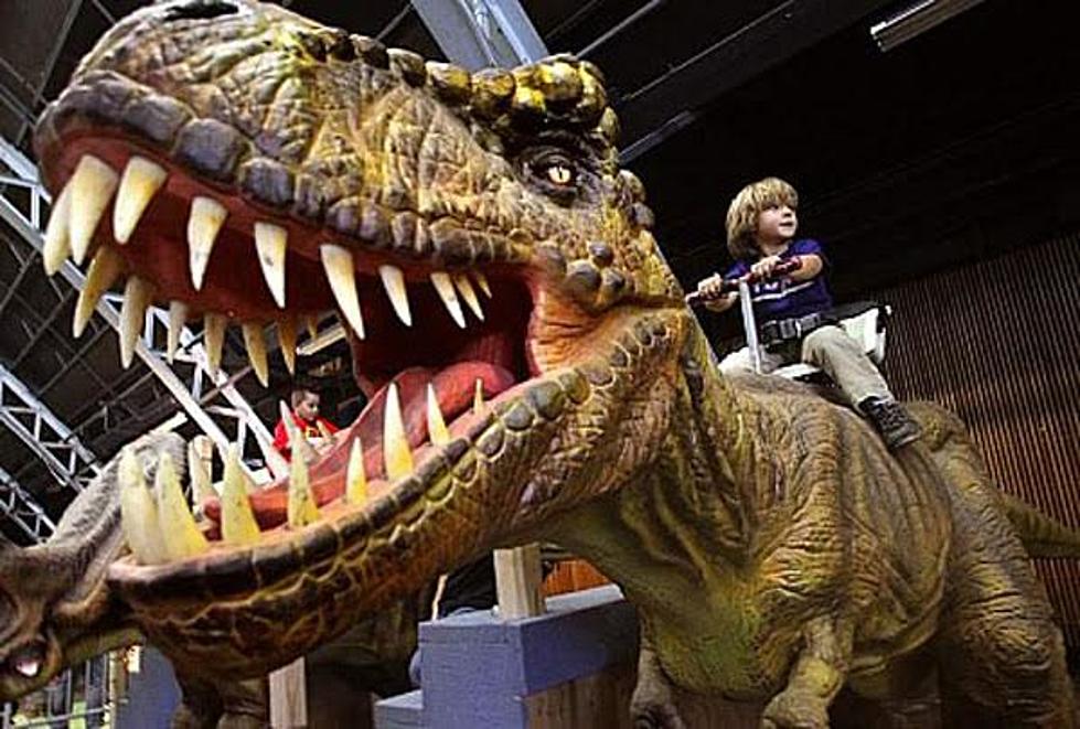 Don’t Miss the Jurassic Tour at the SunDome!
