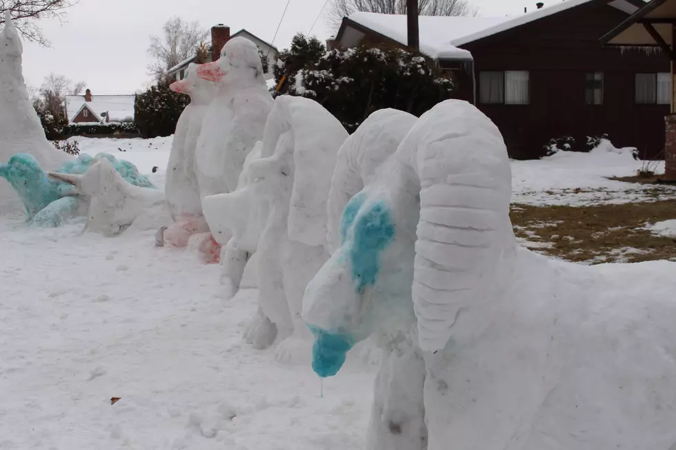 Check Out These Awesome Snow Animals in Yakima Before They Melt! [PHOTOS]