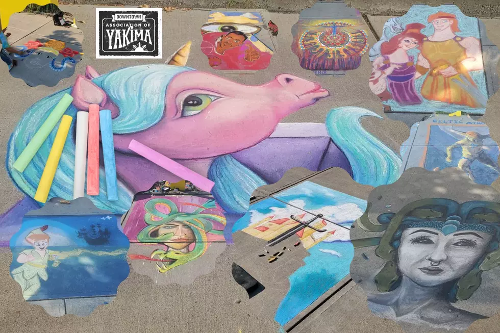 Amazing Photo Gallery & Winners of the 2022 Yakima Chalk Art Fest