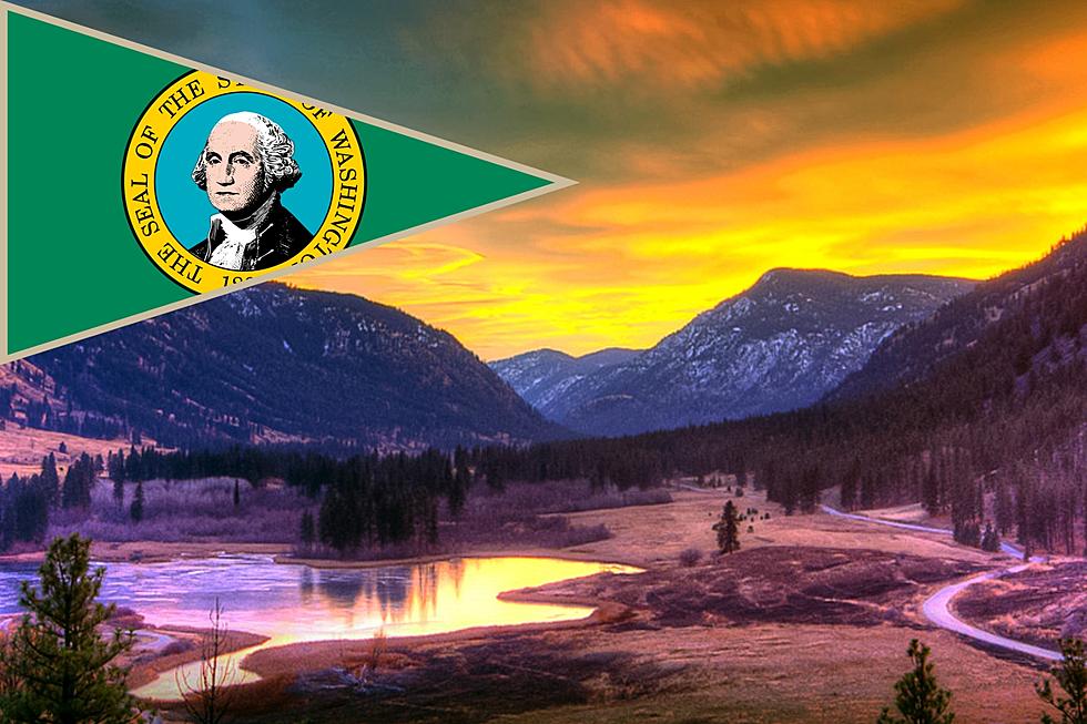 Go on a Free Journey: Washington's 2024 Discover Pass Days Await 