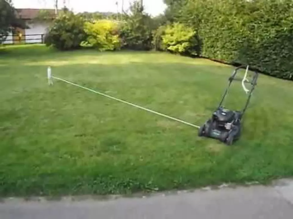 Here’s How to Mow Your Lawn Without Actually Doing Any Work