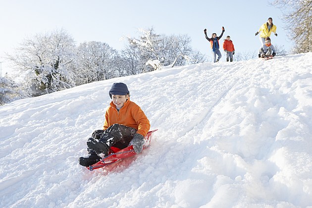 No Sled? No Problem! Here are 5 Things You Can Use In Lieu of Sleds on a WA Snow Day
