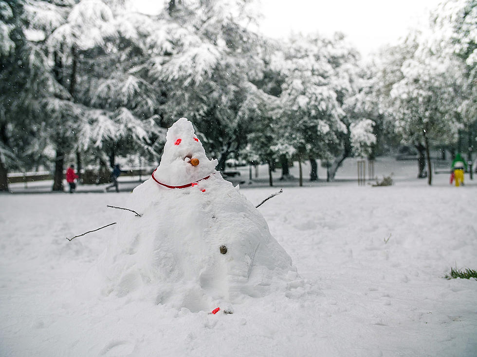 Time to Face the Cold Facts: Whose Snowman is THE Coolest? [VOTE]