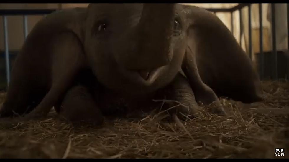 ‘Dumbo’ Remake Hits Theaters Today!