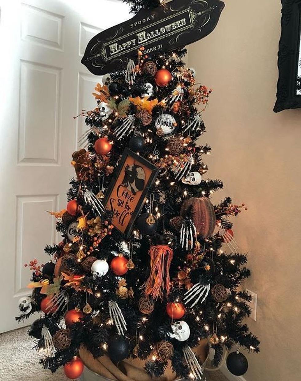 Only In 2020 – A Halloween/Thanksgiving/Christmas Tree?!?