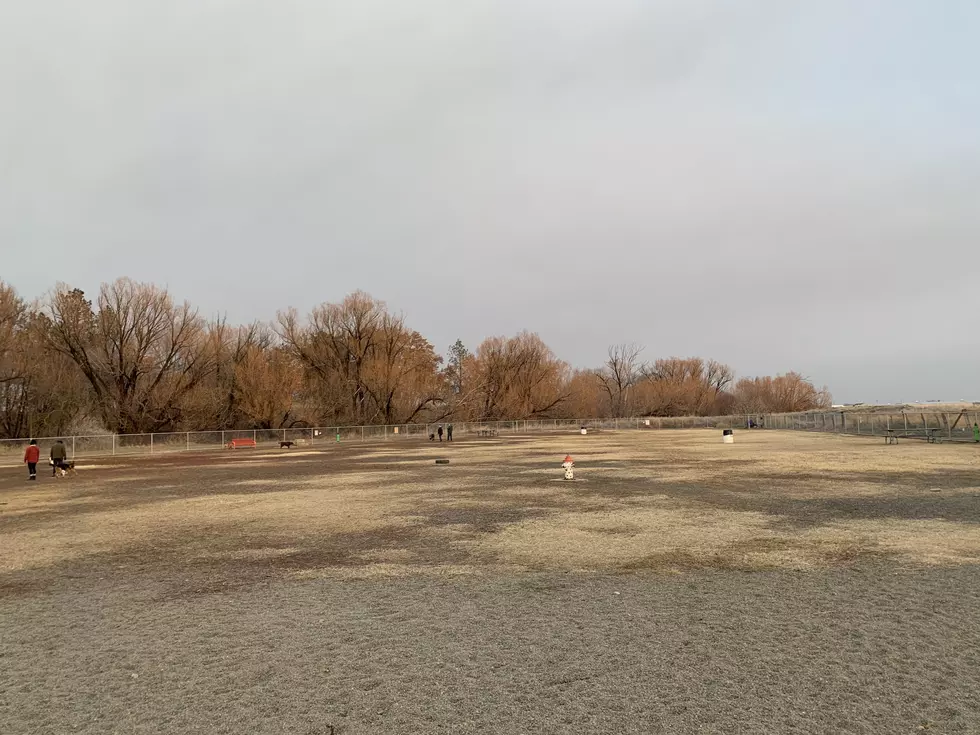 Yakima’s Randall Dog Park Rated 4-Paws! [PICTURES]