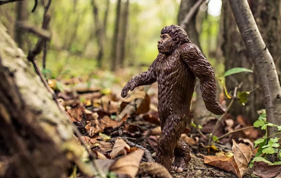 Barbaric: Legislature Considers Bigfoot Hunting Season