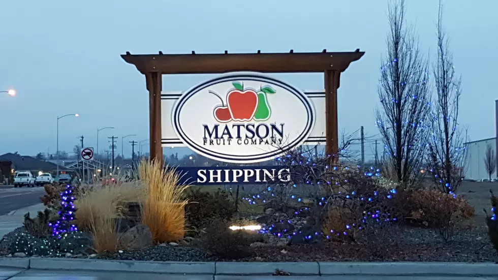 Here&#8217;s Why You&#8217;ll Love Working For Matson Fruit Company
