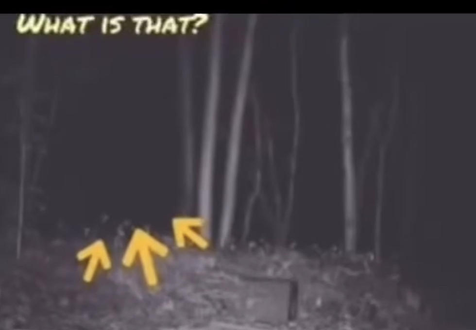 Viral Video may Prove the Existence of the Legendary Bigfoot?