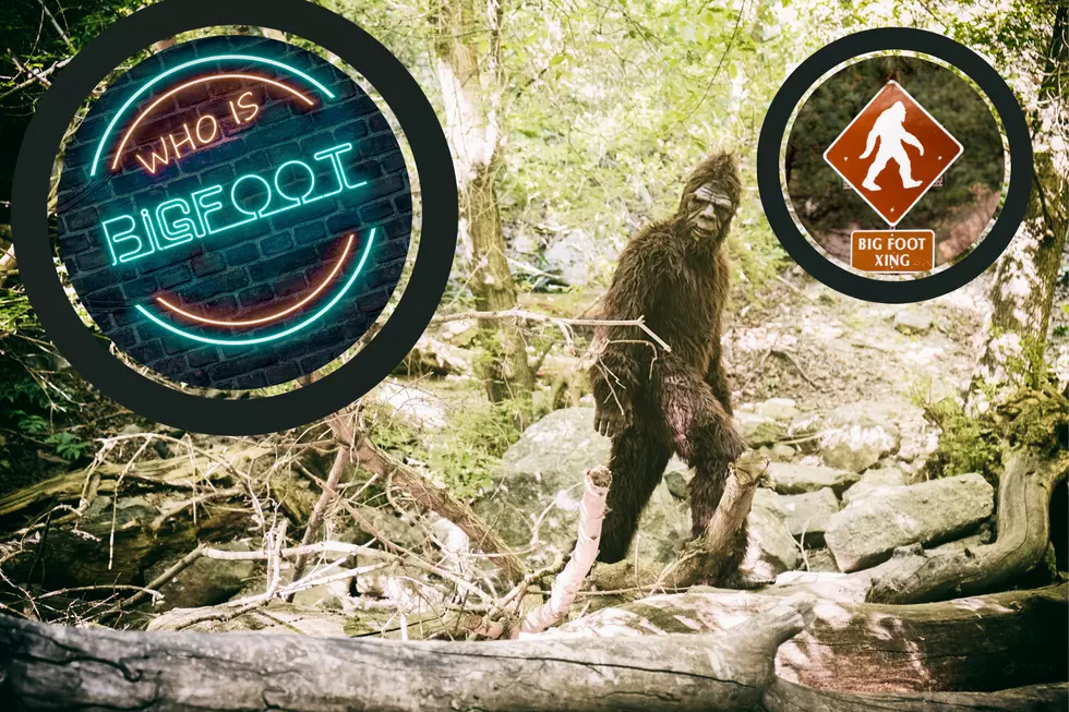 Shocking Bigfoot Sightings: Washington&#8217;s 707 Leads US. Seen Him?