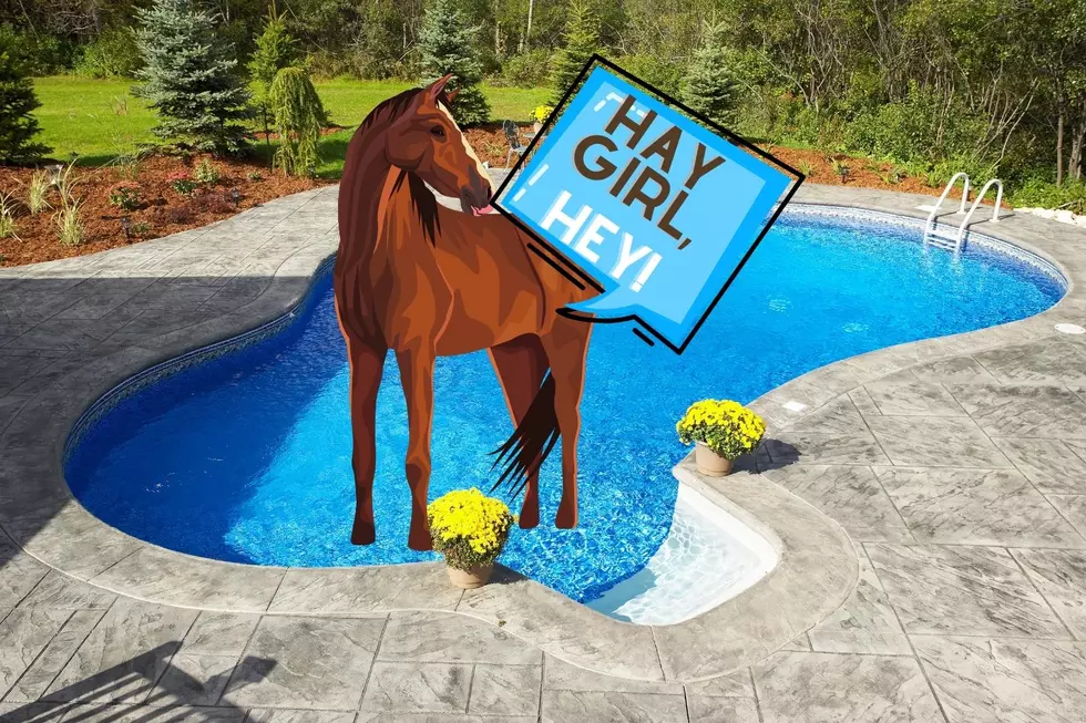 See This Pretty Horse Take a Dip in a Yakima County Pool