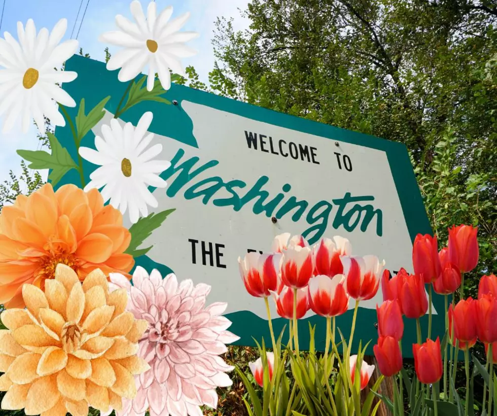 The top Five Easiest Flowers to Grow in Washington