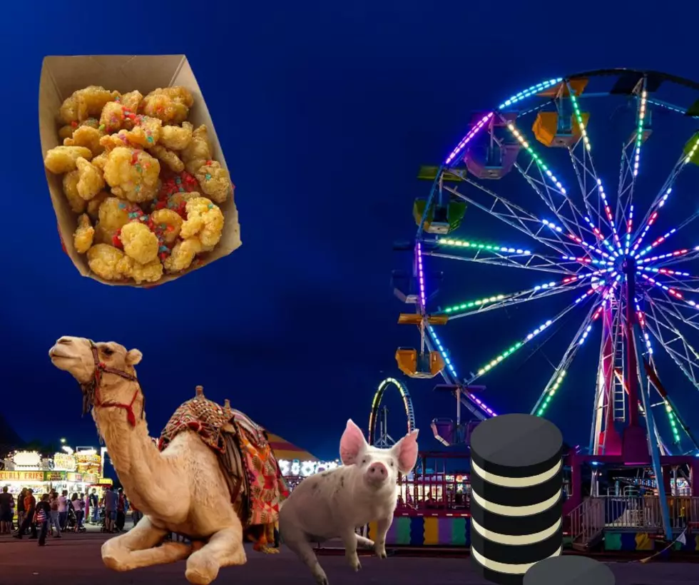 5 Reasons your Kids are gonna love the Central Washington Fair