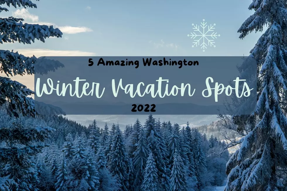 5 Amazing Washington Winter Vacation Spots for 2022