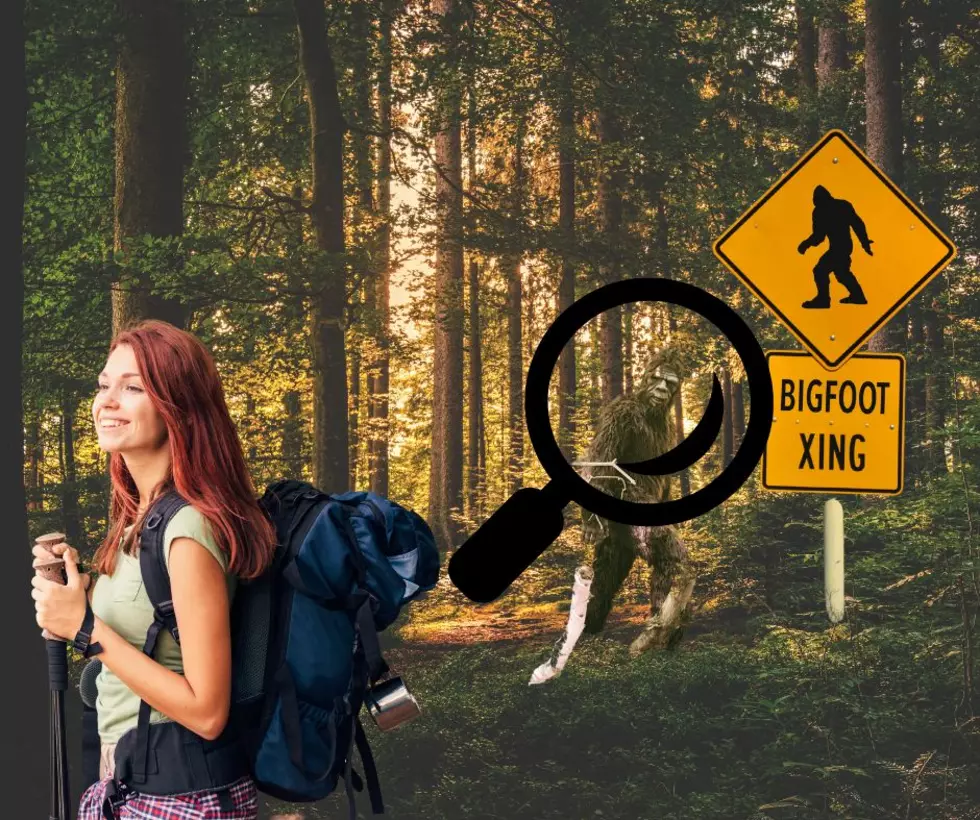 How to know there's a Bigfoot near by! 