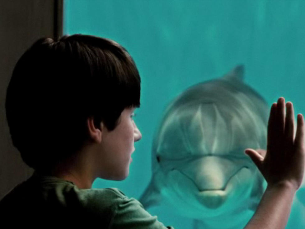 Weekend Box Office: ‘Dolphin Tale’ Swims to the Top of the Chart
