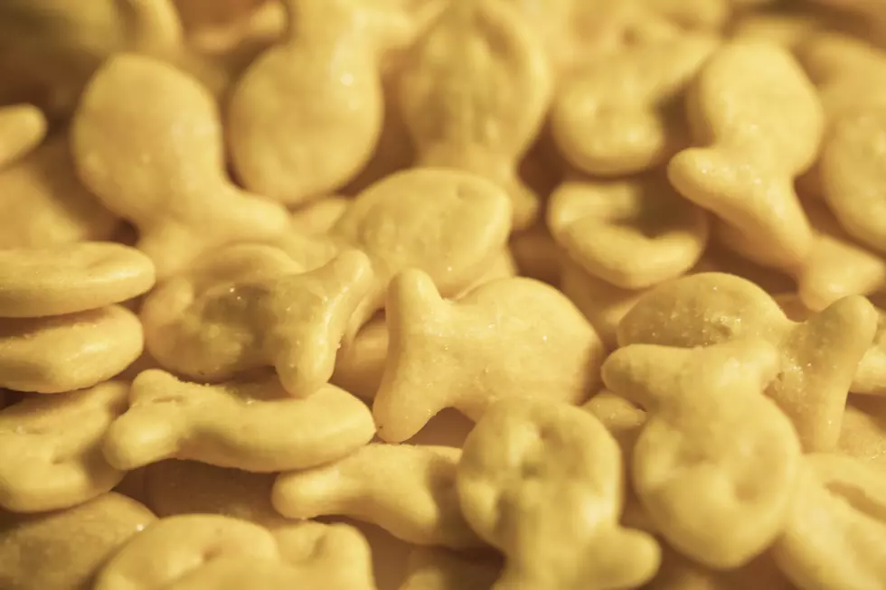 Goldfish Crackers Recalled Due to Salmonella Investigation