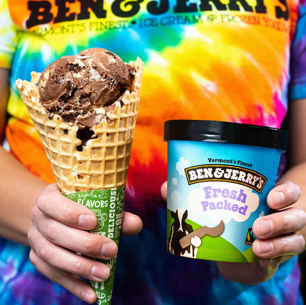 Ben & Jerry's Ice Cream To Make Frozen Dog Treats