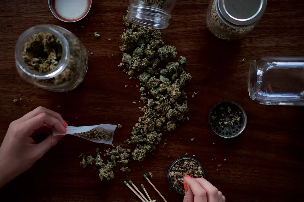 Have You Seen Montana's Recreational Marijuana Sales? It's Wild