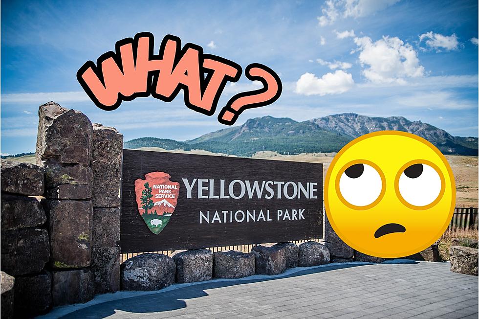 Surprise! Tourists Pull A Dumb Stunt In Yellowstone National Park