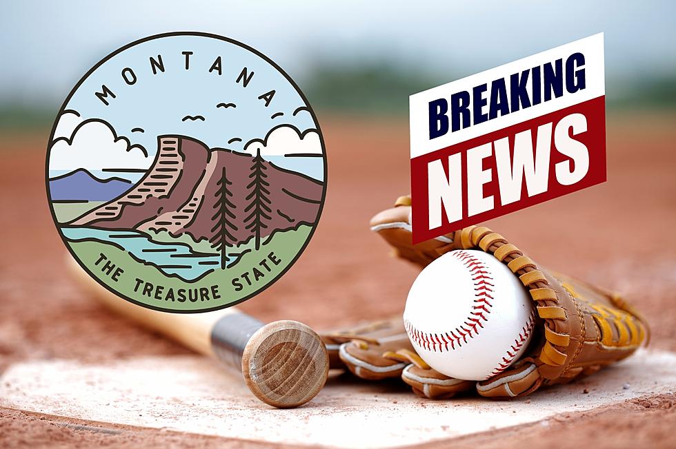 Montana&#8217;s Pioneer Baseball League Gets Fantastic New Addition