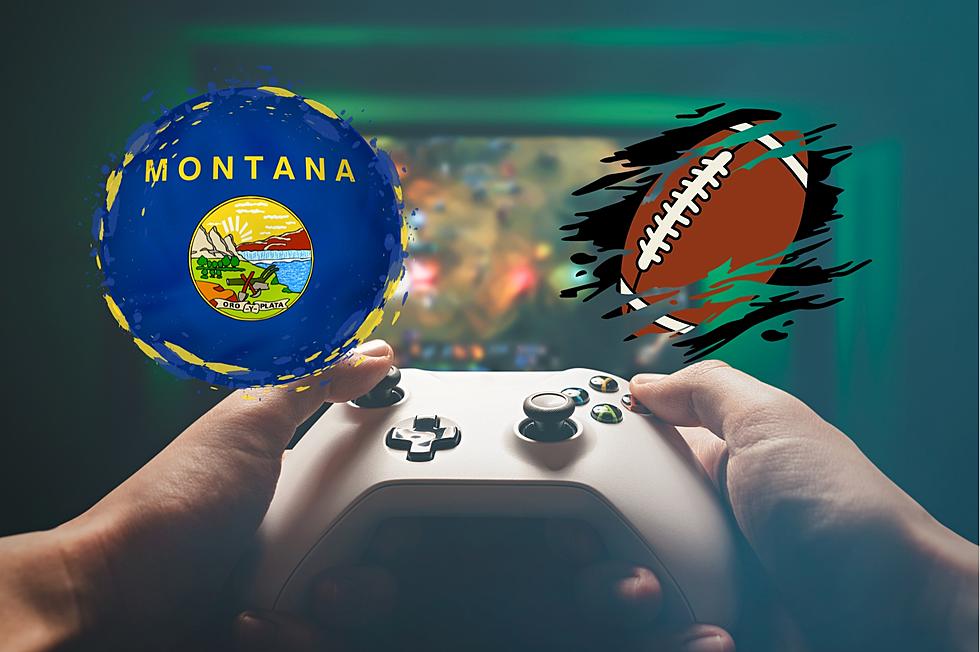 Bobcat Fans and Video Game Enthusiasts Will Love This News