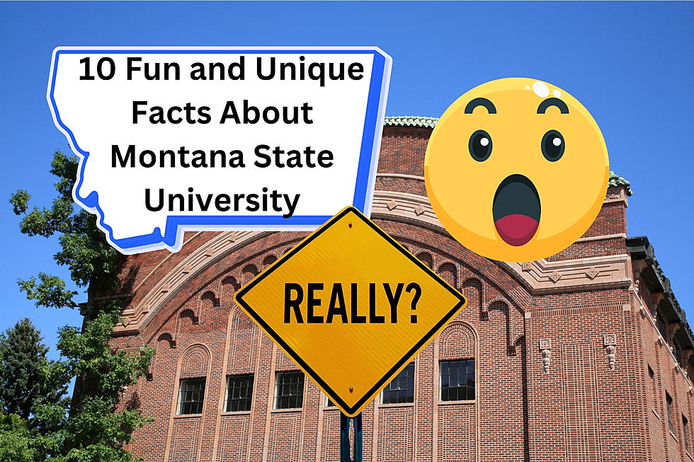 10 Fun and Unique Facts About Montana State University