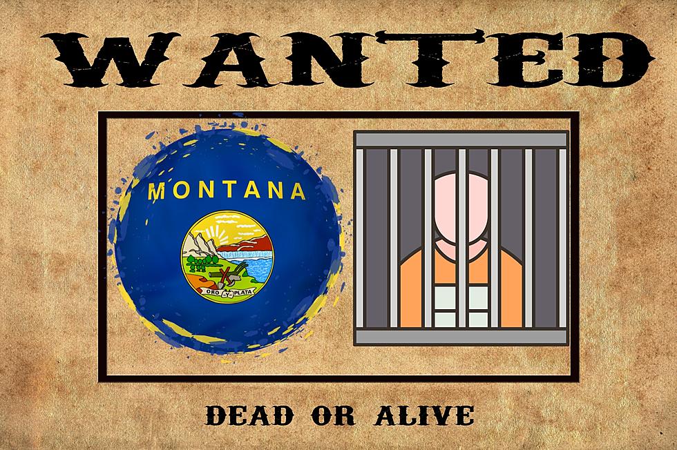 Look Out! The Top 3 Most Wanted Fugitives in Montana
