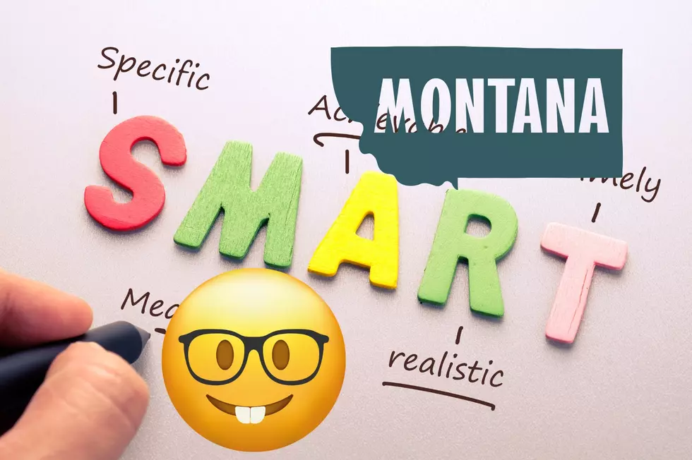 Are Montanans Smart? We Actually Rank In The Top 10