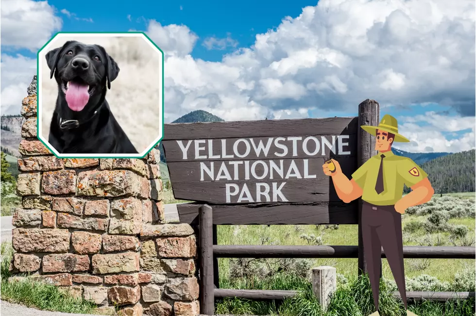 The National Parks Have A Great Program for Dogs