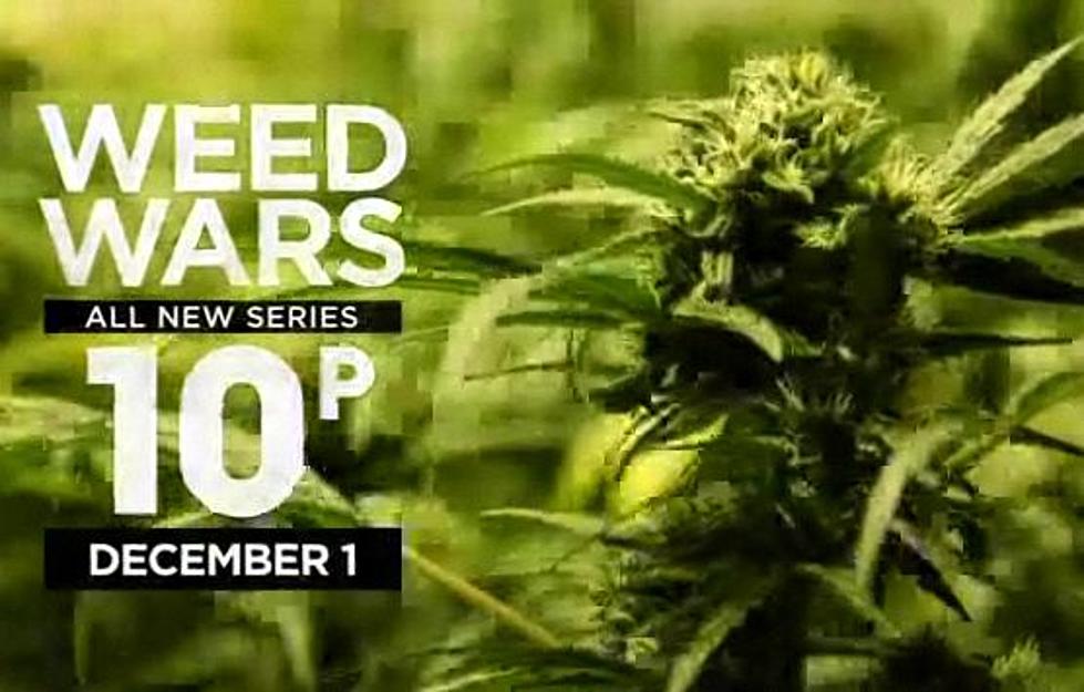 Discovery Channel’s Weed Wars is About to be My Favorite Show [VIDEO/AUDIO]