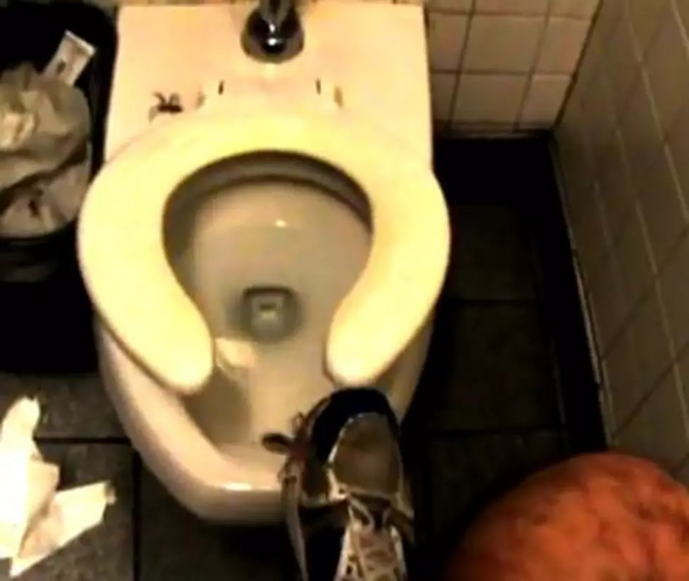 Giant Toilet Spider [VIDEO]