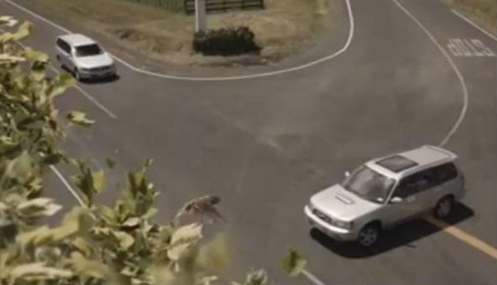 NZ Transport Agency’s ‘No Second Chances’ Video Shows the Dangers of Speeding in Very Powerful PSA