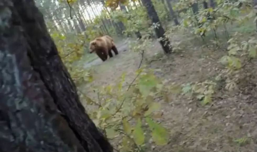 Man Riding Mountain Bike Gets Chased by Bear