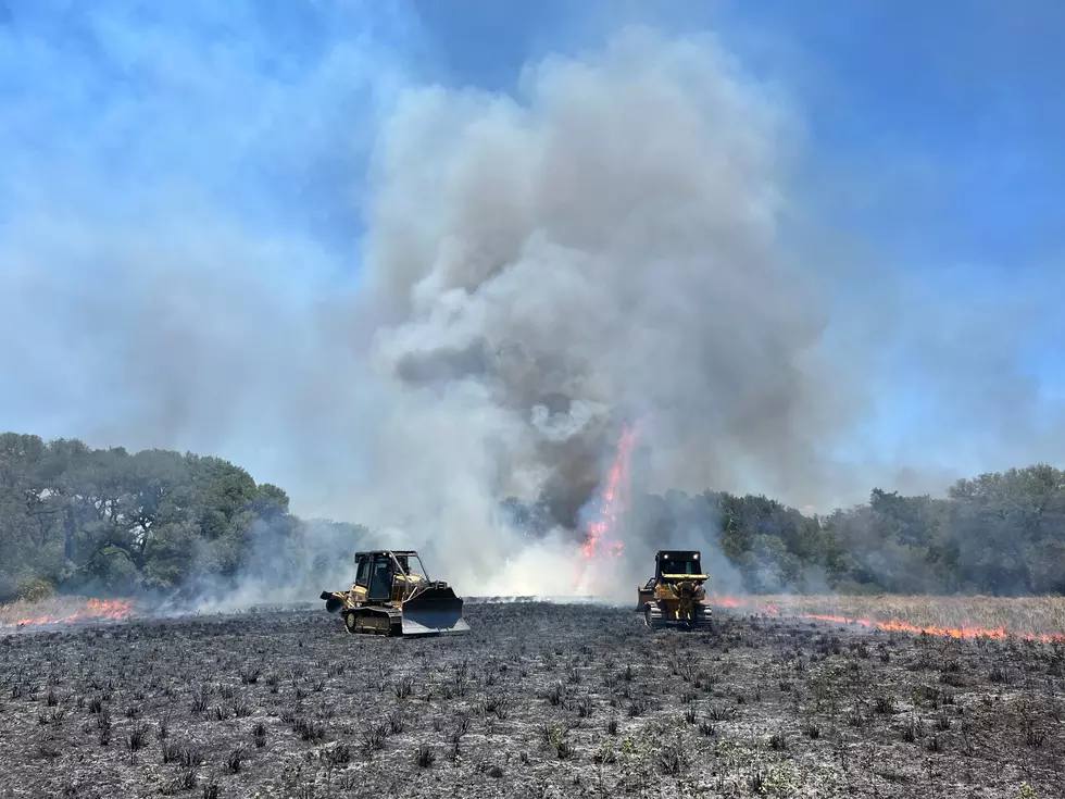 Texas A&M Forest Service Warns Texans About Possible Large Wildfires Today