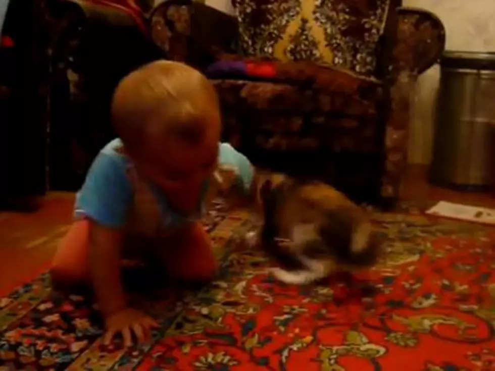 Baby and Cat Engage In Epic Face-Off Over Potato Chip [VIDEO]