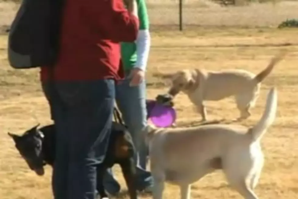 Abilene Dog Park Marks First Birthday