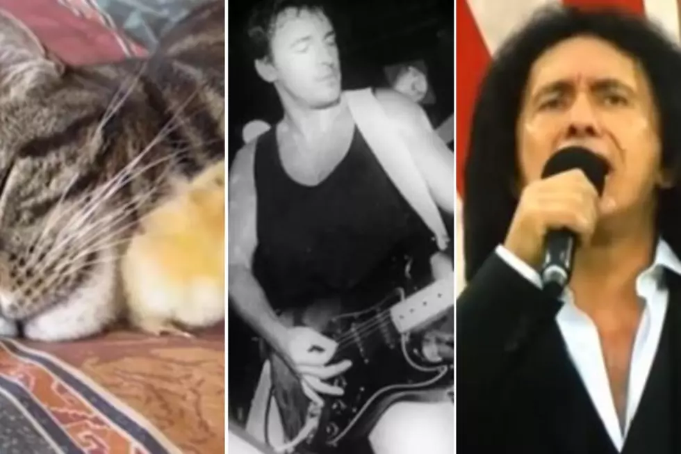 Baby Chick and Cat Video, New Springsteen Book, Gene Simmons Singing the National Anthem + More – Top Stories of the Week